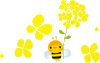 「3月26日の受付時間について☆☆☆三次市で優雅デトックス（体内浄化）を「もねこハウス」でしませんか。」
