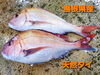 「金曜日恒例‼️新鮮なお刺身と美味しいお惣菜‼️」