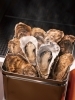 牡蠣のガンガン焼き「名物！牡蠣のガンガン焼き！」