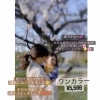 「桜、そろそろ咲きそうですね＊＊」