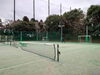 「シングルス練習会」