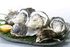 「【隠岐】岩ガキ※残りわずか【西ノ島産】」