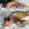 「魚魚市場鮮魚コーナーおすすめ商品は「バーべキュー3点セット・お弁当各種」です♪」