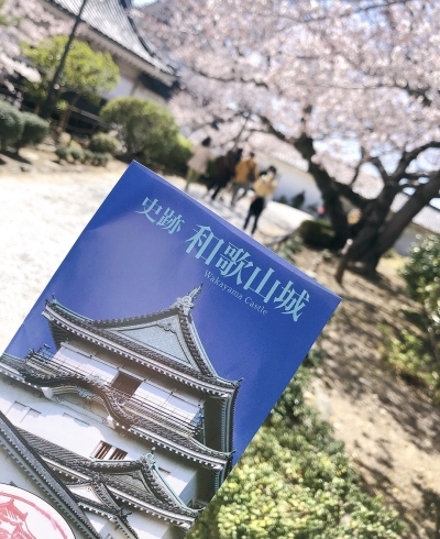 和歌山市の桜の名所「和歌山城」「和歌山城の桜見ごろです♪」