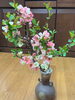 「可愛い木瓜の花をいただきました。」