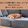 仲介手数料無料☆八王子ひなた不動産「嬉しいご依頼をいただきました！【仲介手数料無料☆八王子ひなた不動産】」