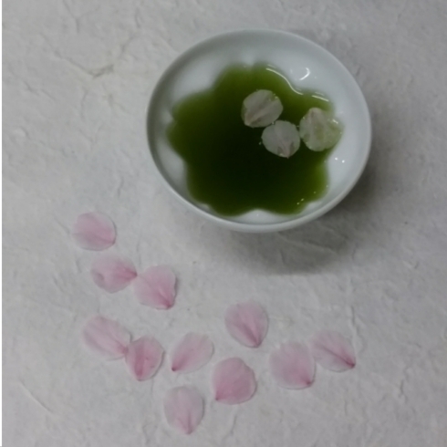 桜の湯呑みにお茶淹れて桜の花びら浮かべてみました「お茶を淹れた湯呑みでお花見気分！」