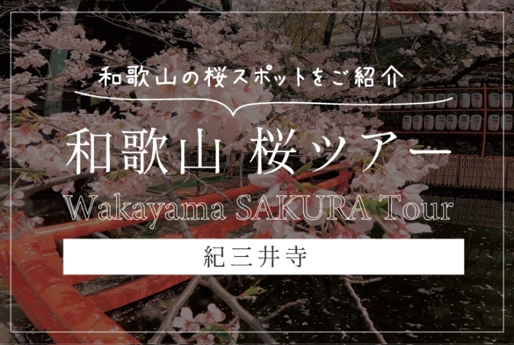 WAKAYAMA Timeにて動画公開中！「和歌山桜ツアー『紀三井寺』動画公開中！【WAKAYAMA Time】」