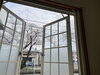 院内から見える桜です！「4月の休診日のお知らせです。」