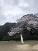 近くの公園へ「そうゆうものだと思ってました！！」