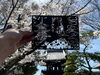 「金陵山西大寺✖️上寺山餘慶寺の「三重塔両参り巡礼の切り絵納経」始まります。」