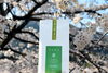 「2022年度の新茶 販売開始時期のお知らせ♪」