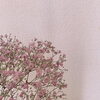 「ꕤ*｡ﾟピンクのかすみ草 ꕤ*.ﾟ」