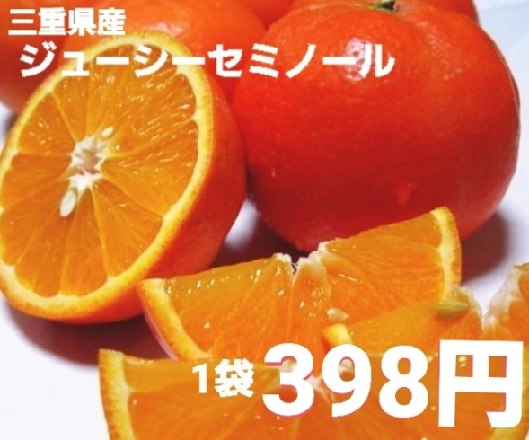 旬のセミノールオレンジ‼️お買い得‼️「今が旬‼️ジューシー⭐セミノールオレンジ⭐大府市/野菜直売」