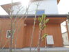 「【カネタ建設上越店】春の訪れ」