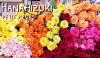 「1本からお買い求め頂けます❁.*･ﾟ」
