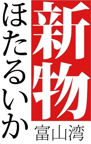 厳選ほたるいかをお刺身で「富山県産の新物ほたるいかが入荷しました」