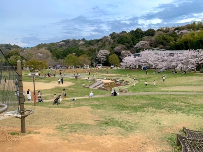 「☆今週のイチオシニュース！「四季の郷公園4月2日にリニューアルオープン！」☆」