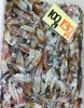 「魚魚市場鮮魚コーナーおすすめは「さより・ヤリイカ」です♪」