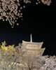 「ヨザクラ【まいぷれ・西京区・南区・編集部】」
