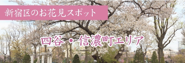 四谷 信濃町周辺のお花見スポット お花見するならここ 新宿区の 桜 特集 21年 しんじゅくノート 新宿区