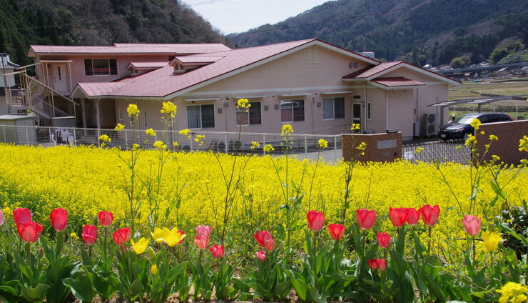 地域の方の力で出来た菜の花畑、益々きれいに「桜や菜の花に囲まれると、地域の人々の愛の深さを感じます。ありがとうございます。」