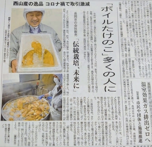 「京都新聞「洛西版」で 弊社の取り組みを紹介して下さいました【京たけのこ 小川】」