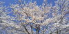 「４月のご予約空き.・*※*☆」