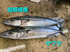 「金曜日恒例‼️新鮮なお刺身と美味しいお惣菜‼️」