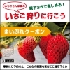 【かなりお得】まいぷれ限定 いちごさんぽ園のいちご狩り割引クーポン！