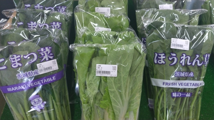 葉物野菜、入荷しました！「こんにちは！」