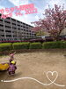 「お魚見たよ♡【交野市・小規模保育園】」