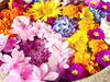 「花手水のお花を入れ替えました！」