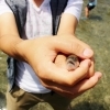【ヤマメの掴み取り】家族で遊べる最高体験