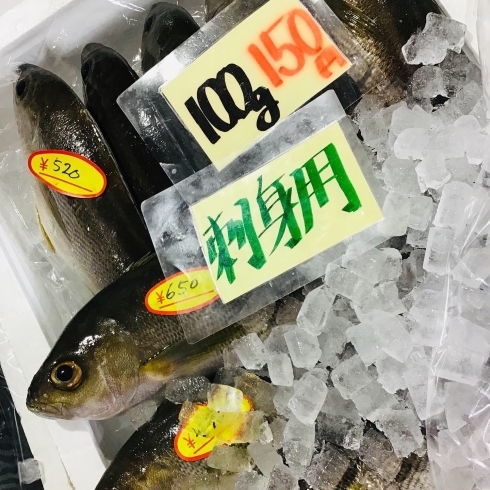 「魚魚市場鮮魚コーナーおすすめは「イサキ・バーべキュー3点セット」です♪」