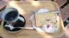 さくらのシフォンケーキとコーヒー。コーヒーは注文を受けてから入れてくれます。