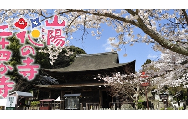 まいぷれ山陽地区合同特集「山陽花の寺 二十四か寺」　花巡礼の旅