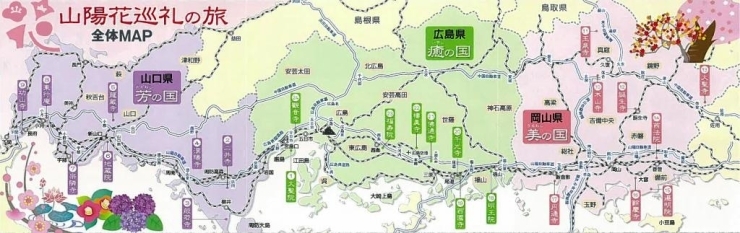 まいぷれ山陽地区合同特集 山陽花の寺 二十四か寺 花巡礼の旅 まいぷれ 下関市