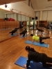 EARTHYOGA！初心者におすすめ！「春のYOGA【京都市南区・京都テルサ・ジム・プール・こども・駐車場完備】」