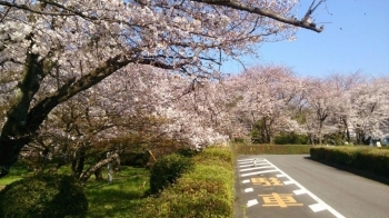 病院玄関の横です。