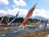 「南魚沼市の登川の上を泳ぐ鯉のぼり、5月8日まで見れます」