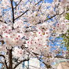 「令和4年度！初の仕事は大阪での撮影でした」