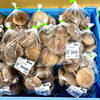 「農産物直売所『生椎茸』入荷しました！」