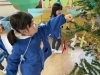 どこにしようかな？「もうすぐ１２月☆幼稚園でクリスマスツリーを飾りました♪」