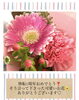 花言葉はありがとうだって☆Merciと同じだ！奇跡「Merciありがとう♡出雲市上塩冶町のエステサロンMerci」