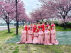美しい桜の木の下で…南千住教室近くで。「船橋・東船橋フラ・タヒチアンダンス 心地よく踊る♪」
