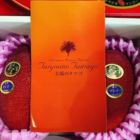 「「みやざき完熟マンゴー　太陽のタマゴ」が入荷しましたよー！！！(4/16初入荷)」