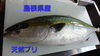 「金曜日恒例❗新鮮なお刺身と美味しいお惣菜❗」