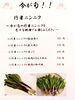 期間限定の行者ニンニク料理「行者ニンニク」
