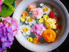 ただ今店内で花手水風に浮かべてます♡「2022年第一回花手水のお知らせ」